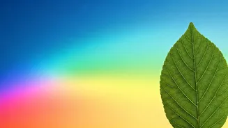 Understanding the Air Quality Index: Your Guide to Breathing Easier