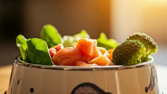 How Fresh Food Preps Fix Common Dog Illnesses Secretly