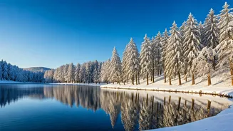 Experiencing Winter's Majesty in Japan: A Seasonal Guide