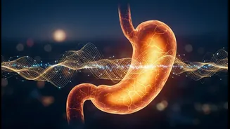How Eating With Your Body Clock May Help Reduce Evening Digestive Discomfort