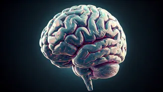5 Brain-Boosting Exercises for Sharp Cognitive Health