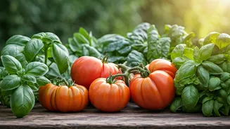 Kerala, Karnataka, Tamil Nadu Governments Offer Subsidies For Kitchen Gardens