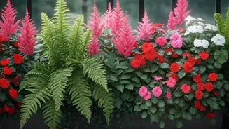 Balcony Gardens Are Ready For Rain-Loving Plants