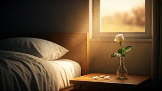 Decoding End-of-Life Dreams: What the Dying Experience in Their Final Days