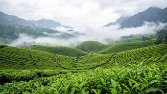 Planning A Monsoon Trip? How To Make Weather Part Of Your Booking Decision