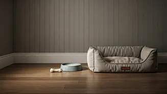 Why Quiet Luxury Pet Stays Are Trending Today