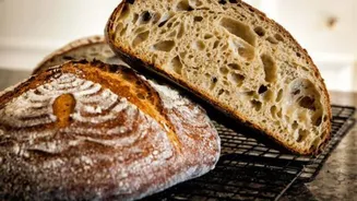 Messing up sourdough baking? Let AI guide you