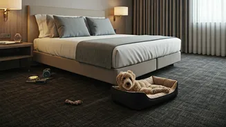Hotels Are Finally Reading The Pet-Parent Room