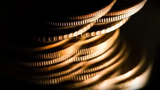 Could Passive Funds Simplify Investing For Beginners? What The Indian Trend Shows