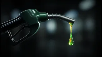 A Viral Mileage Drop Claim Puts E20 Fuel Back Under Driver Scrutiny