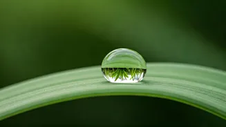 Simple Habits, Cleaner Future