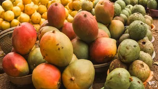 Mango season twist: why local varieties are selling faster than premium imports