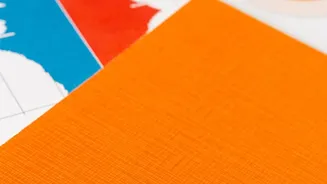 Section 80C vs New Tax Regime: Smart Tax Planning For Fresh Professionals
