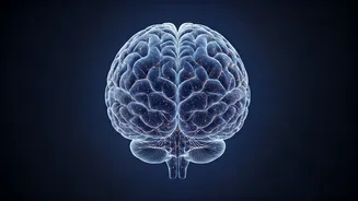 Unlock Your Potential: 8 Proven Strategies to Elevate Your Mind