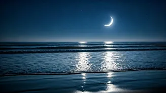 Daily Horoscope: Insights for Cancer