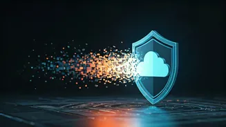 Erase Public Scraping Risk Paths Modifying Main Cloud Guards Today