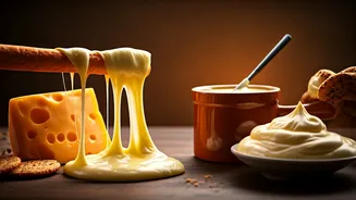 Melted Marvels: 8 Cheesy Delights to Elevate Your Culinary Creations