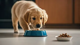 Age-Based Diets Are The Responsible Pet-Parent Flex