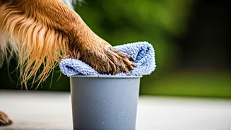 Wipe Mud Off Wet Paws Easily Using Microfiber Cleaning Cups