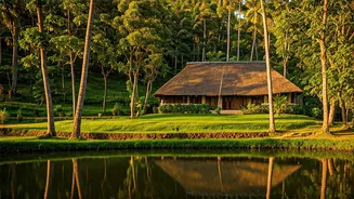 Kerala's Finest: 9 Homestays You Can Book Now