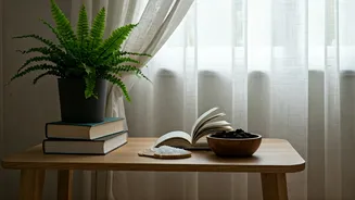 Beat Monsoon Dampness Naturally