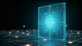 Understanding Website Security Checks: Your Digital Gatekeeper Explained