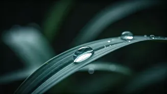 Monsoon Acne Starts With Changing Skin Conditions