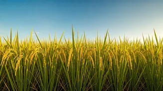 Related Stories banner