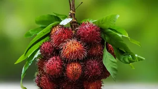 The Stem Test Helps Separate Fresh Lychees From Older Fruit