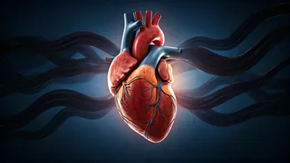 Your Evening Habits: The Hidden Dangers to Your Heart