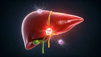 Lower Protein Diet: A Potential Brake on Liver Cancer Progression in Damaged Livers?