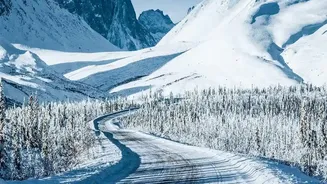 How To Experience Crisp Early Winter Drives From Bengaluru To Forested Wayanad Valleys