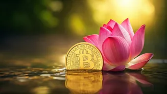 Sagittarius Horoscope May 2026: Navigating Finances & Relationships