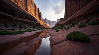 Rain Turns These Hidden Places Into Masterpieces