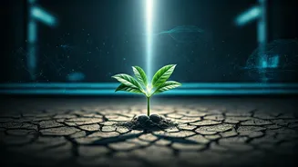 West Bengal 2026: Gen Z's Mandate for Jobs, Transparency, and Future Growth