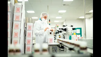 Estudo: combinação de compostos da cannabis melhora sintomas do Alzheimer