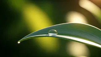 5 Feather-Light Sunscreens Perfect for India's Rising Spring Temperatures