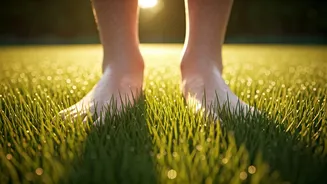 Walk Barefoot On Public Park Lawns To Boost Ankle Stability