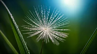 Citizen Science Makes Learning Exciting