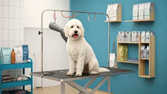 India's Pet Care Market Crosses Massive Billion Dollar Mark