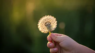 Beat the Summer Sniffles: Your Guide to Kids' Allergies & How to Manage Them