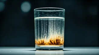 Indore's Water Crisis: Unpacking the Diarrhoea Outbreak