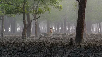 Understanding Climate Change Impacts in India