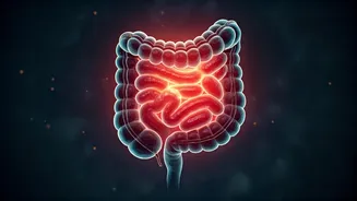 Unlock Better Health: Daily 30-Minute Walks by 35 for Improved Blood Sugar & Stamina