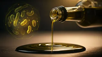 Extra Virgin Olive Oil: Your Gut's New Best Friend for a Sharper Brain