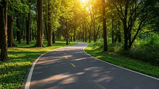 5,000 Steps a Day: Alzheimer's Delay Secret!