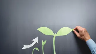 Step Up SIP Math How Increasing Annual Contributions Drives Exponential Investment Returns