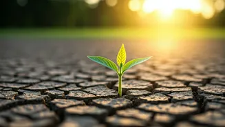 Related Stories banner