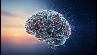 Updated Guidance Makes Brain Health A Whole-Life Practice