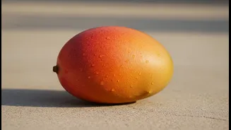 A Mango Festival Is a Classroom for Taste, Texture and Aroma